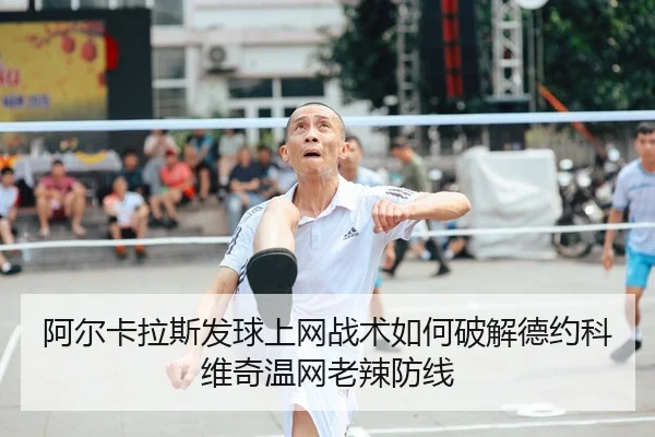 a-er-ka-la-si-fa-qiu-shang-wang-zhan-shu-ru-he-po-jie-de-yue-ke-wei-qi-wen-wang-lao-la-fang-xian-2-649.jpg