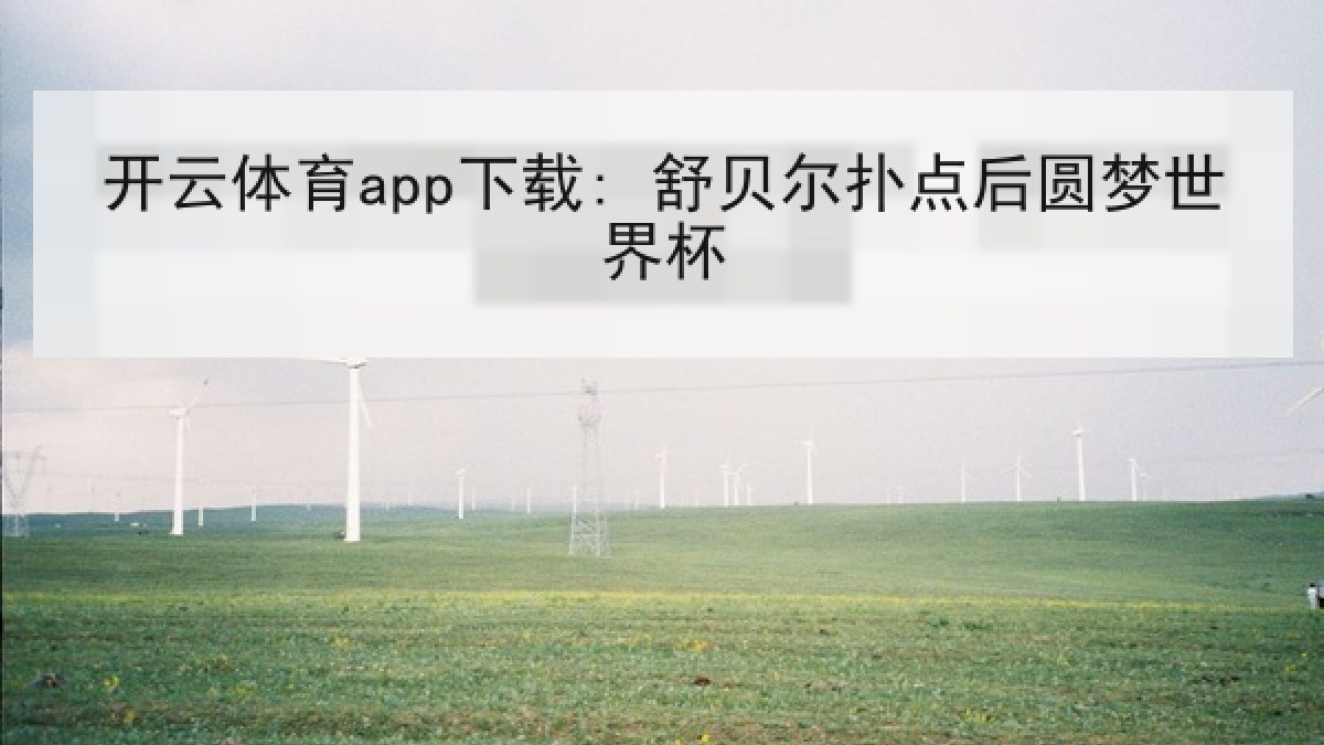 开云体育app下载: 舒贝尔扑点后圆梦世界杯